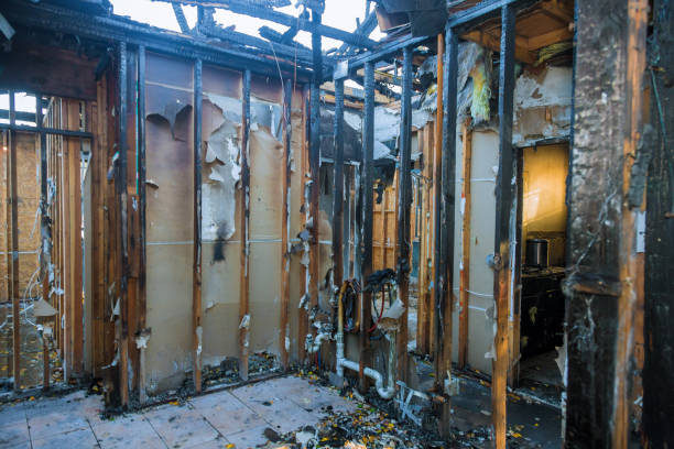 Professional Fire Damage Removal technician working in Georgetown, IL